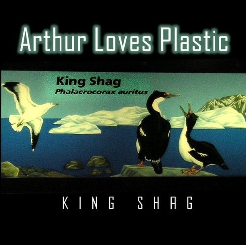 King Shag cover