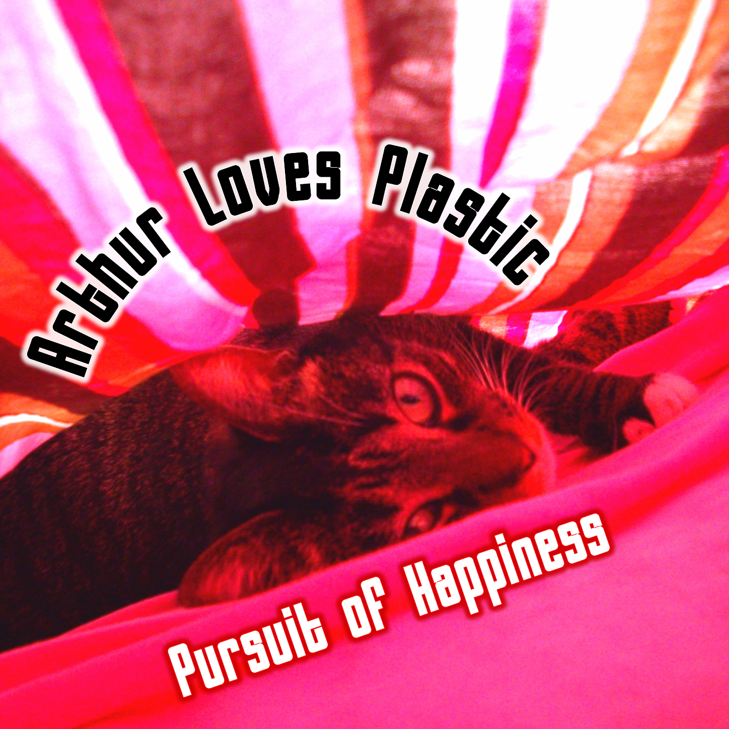 Pursuit of Happiness cover